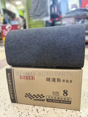 Car Disen Subwoofers