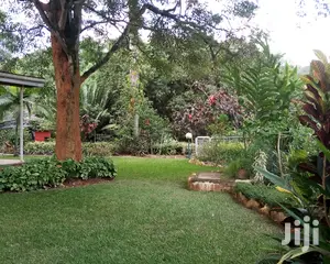 4bedrooms House Is Available for Rent in Kololo