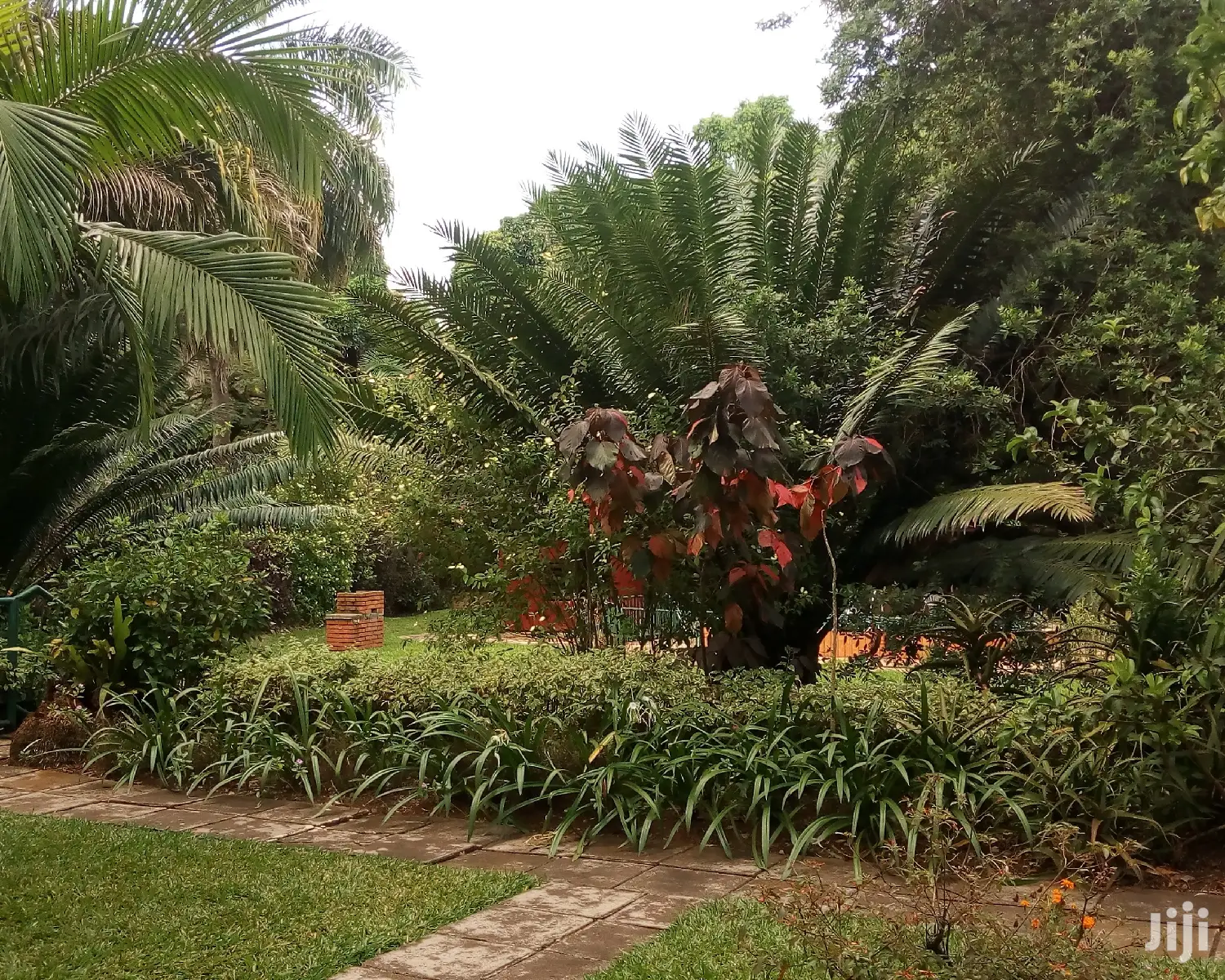 4bedrooms House Is Available for Rent in Kololo