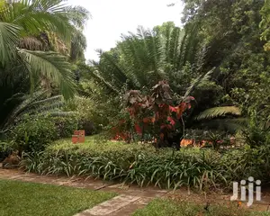 4bedrooms House Is Available for Rent in Kololo