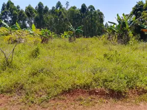 New Estate In Buwaya Sazi 50 By 100ft Plots Titled, Near The Road