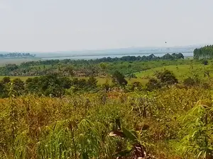 New Estate in Buwaya Sazi Measuring 14 12 Decimal Plots, Near Road