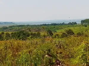 New Estate in Buwaya Sazi Measuring 12 Decimals, Near Road