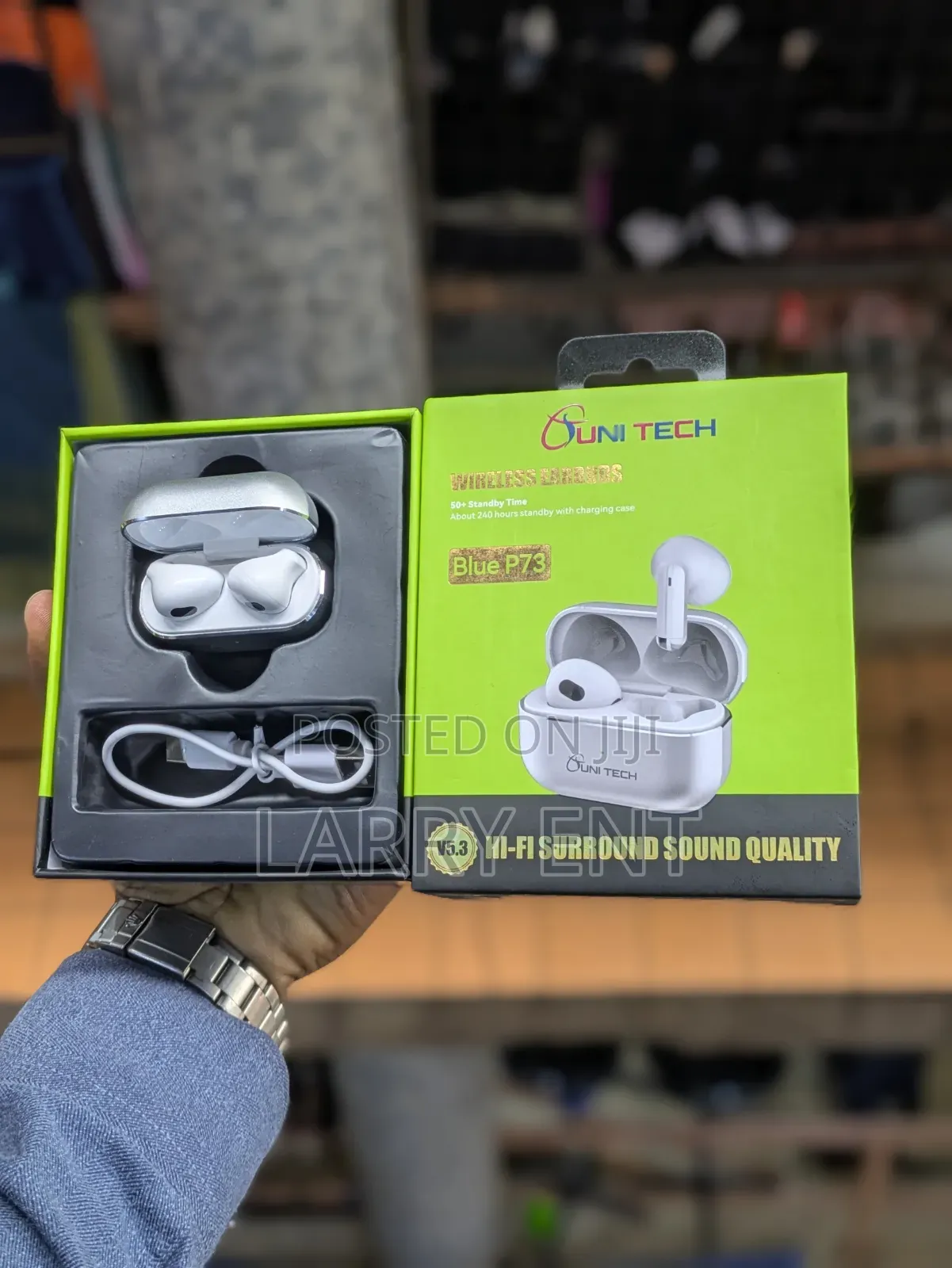 P73 Wireless Earphones Bluetooth 5.3 Metallic Charging Case