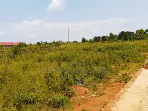 Plot for Sale 50 by 100ft in a Highly Developing Estate Kasanje Bulumb