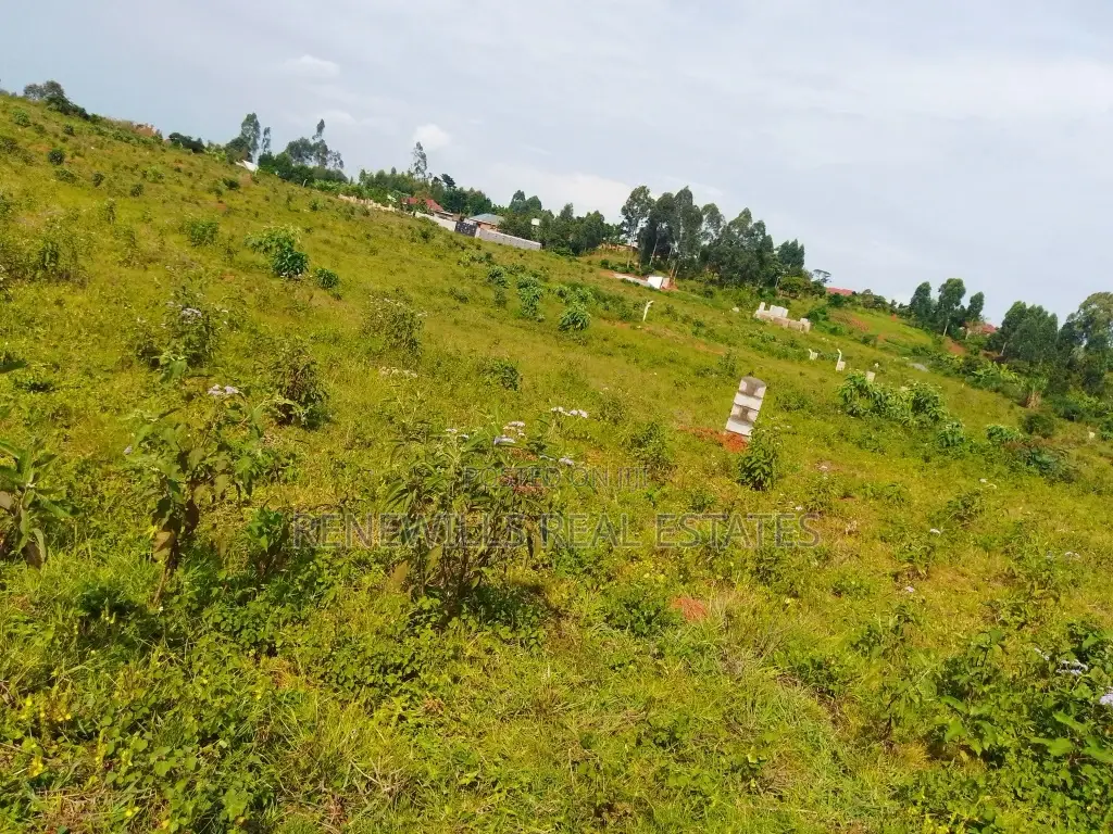 Land for Sale in Entebbe Buwaya- Sazi 50 by 100 Titled in an Estate
