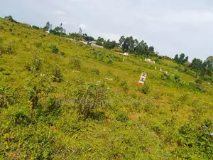 Land for Sale in Entebbe Buwaya- Sazi 50 by 100 Titled in an Estate