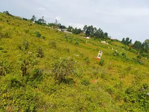 Land for Sale in Entebbe Buwaya- Sazi 50 by 100 Titled in an Estate