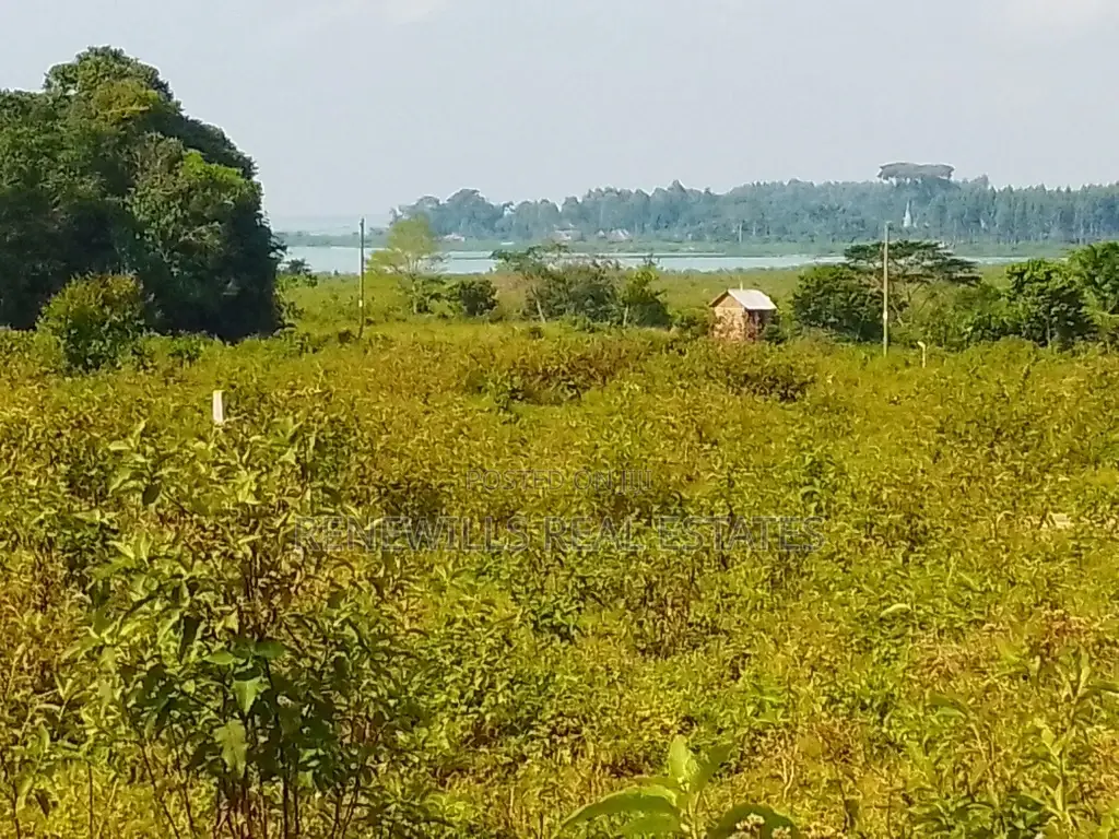 Land for Sale in Entebbe Buwaya- Sazi 50 by 100 Titled in an Estate