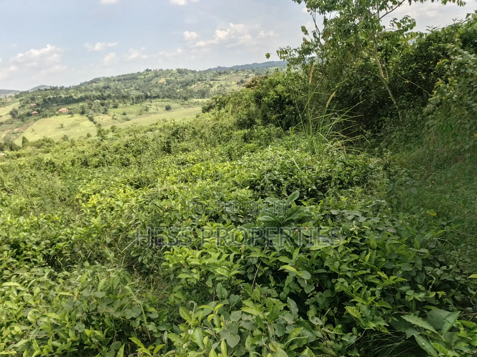 5.5acres of Commercial Land on Sale in Mukuunyu Town Council