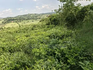 5.5acres of Commercial Land on Sale in Mukuunyu Town Council