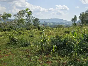 5.5acres of Commercial Land on Sale in Mukuunyu Town Council