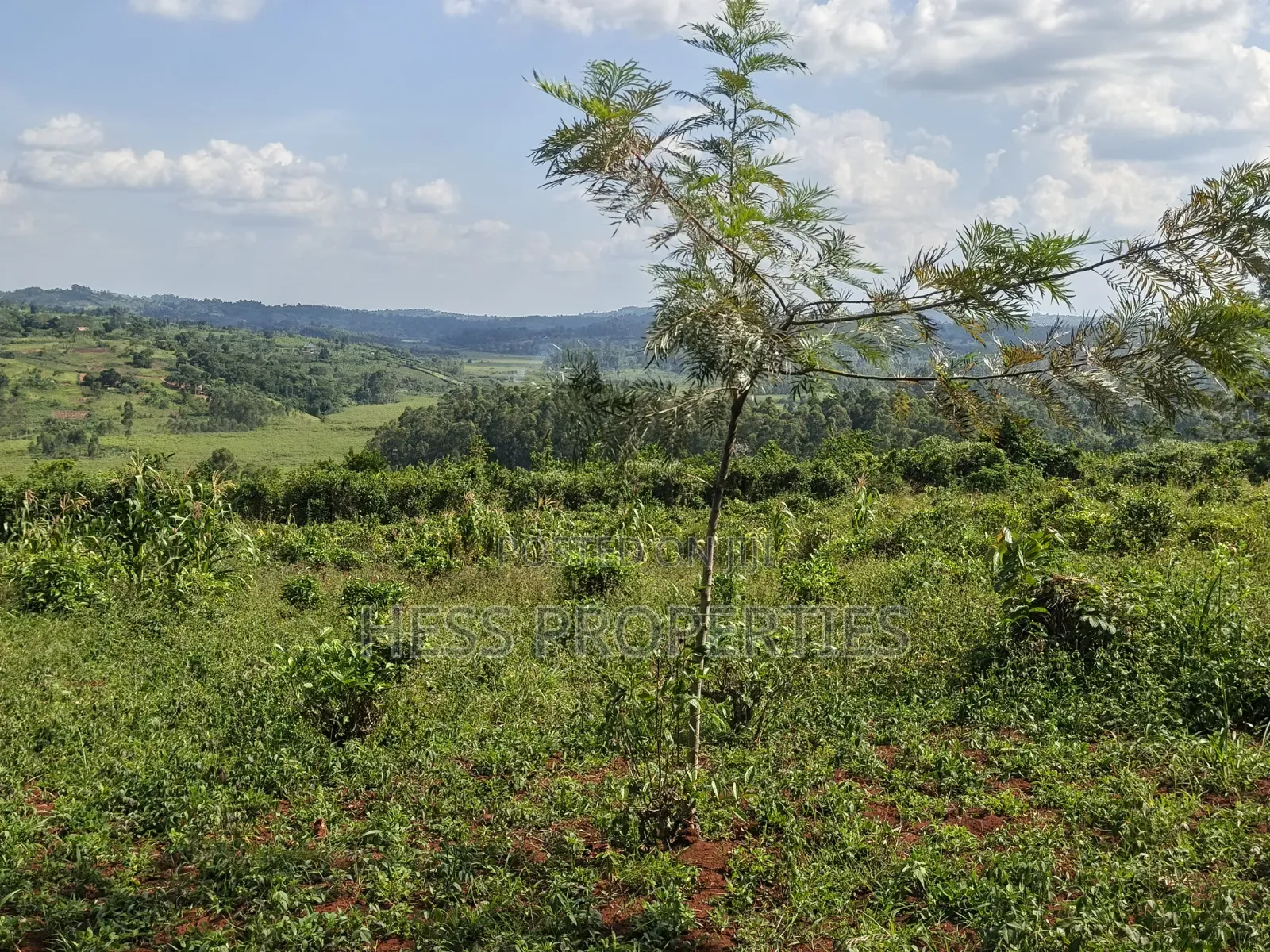 5.5acres of Commercial Land on Sale in Mukuunyu Town Council