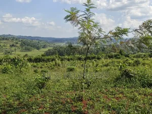 5.5acres of Commercial Land on Sale in Mukuunyu Town Council