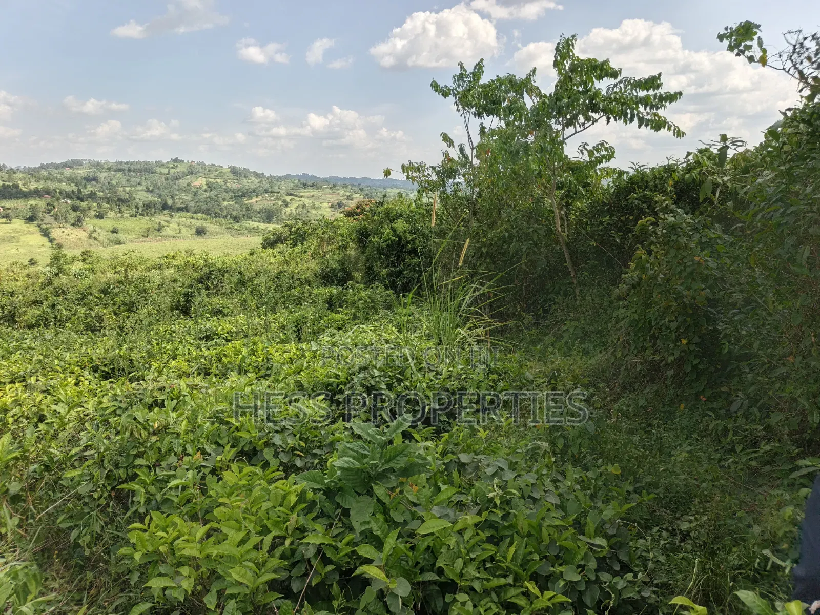 5.5acres of Commercial Land on Sale in Mukuunyu Town Council