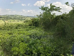 5.5acres of Commercial Land on Sale in Mukuunyu Town Council