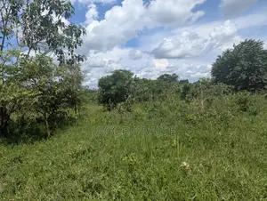 Piece of Land