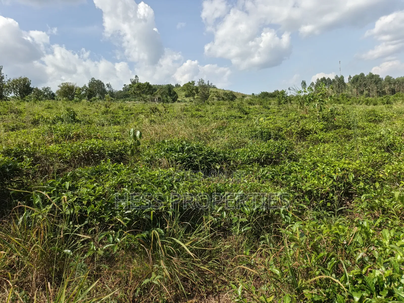 5.5acres of Commercial Land on Sale in Mukuunyu Town Council