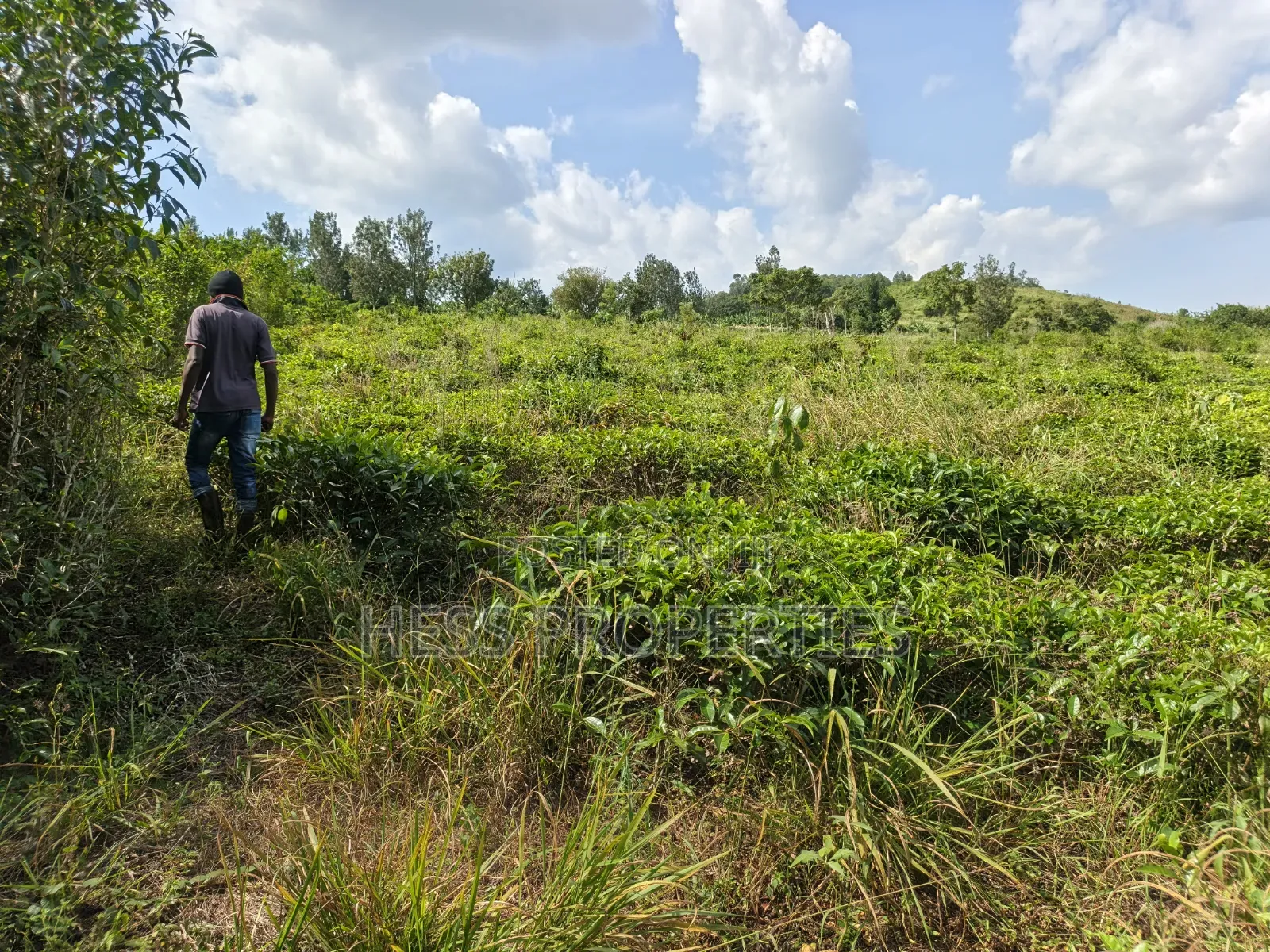 5.5acres of Commercial Land on Sale in Mukuunyu Town Council