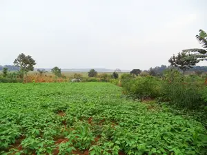 30 Decimal Plot With a Land Title, Lake View in Garuga Entebbe