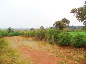 30 Decimal Plot With a Land Title, Lake View in Garuga Entebbe