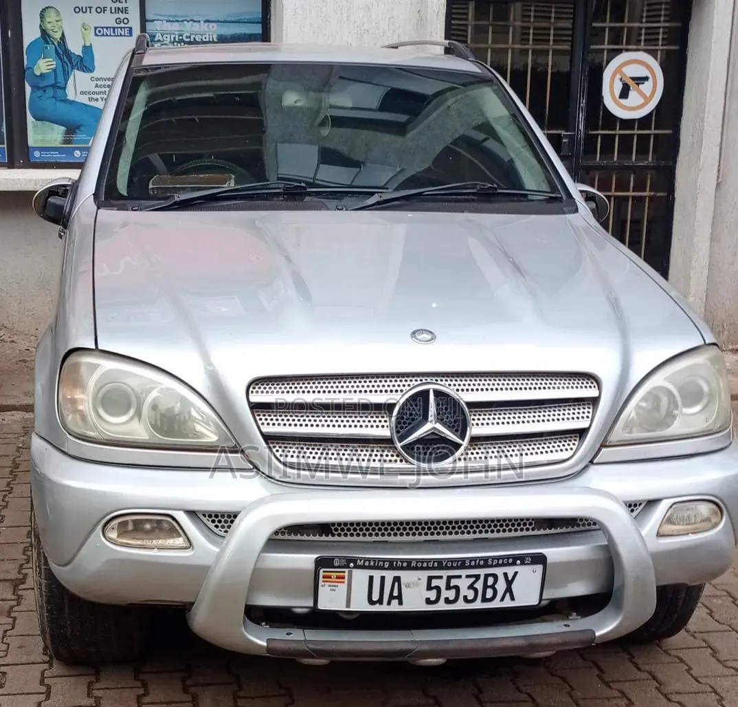 Mercedes-Benz M Class 2005 Silver
