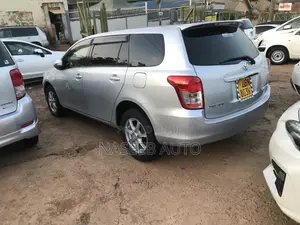 Toyota Corolla Fielder 2008 Silver