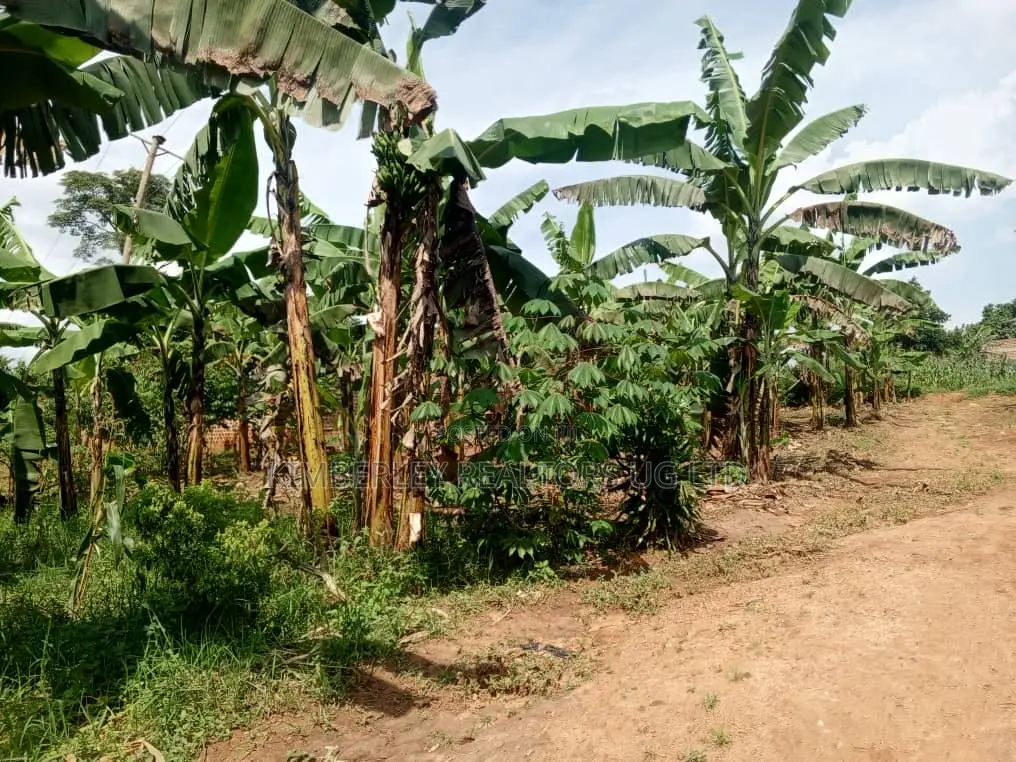 Quick Sale Plots for Sale – Matugga Kitungwa