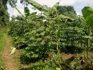 Quick Sale Plots for Sale – Matugga Kitungwa