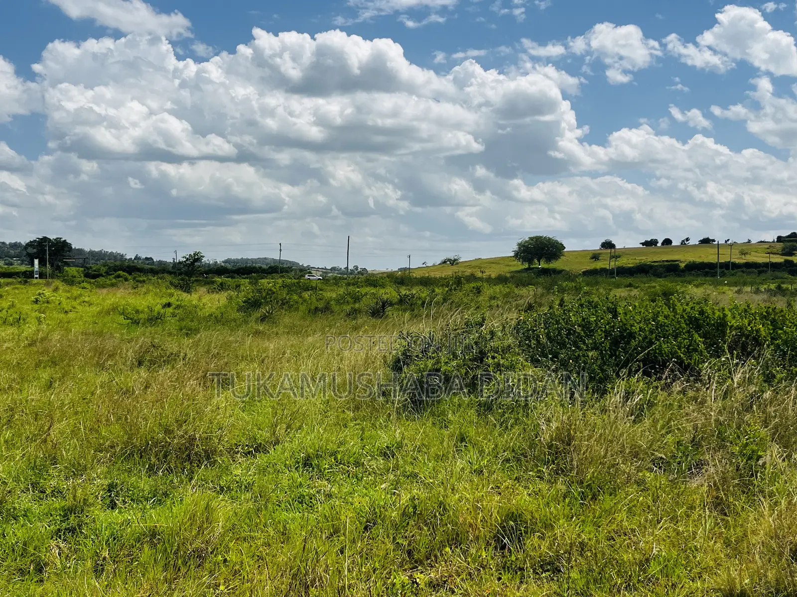 Half Acre for Sale in Nyakisharara Mbarara City