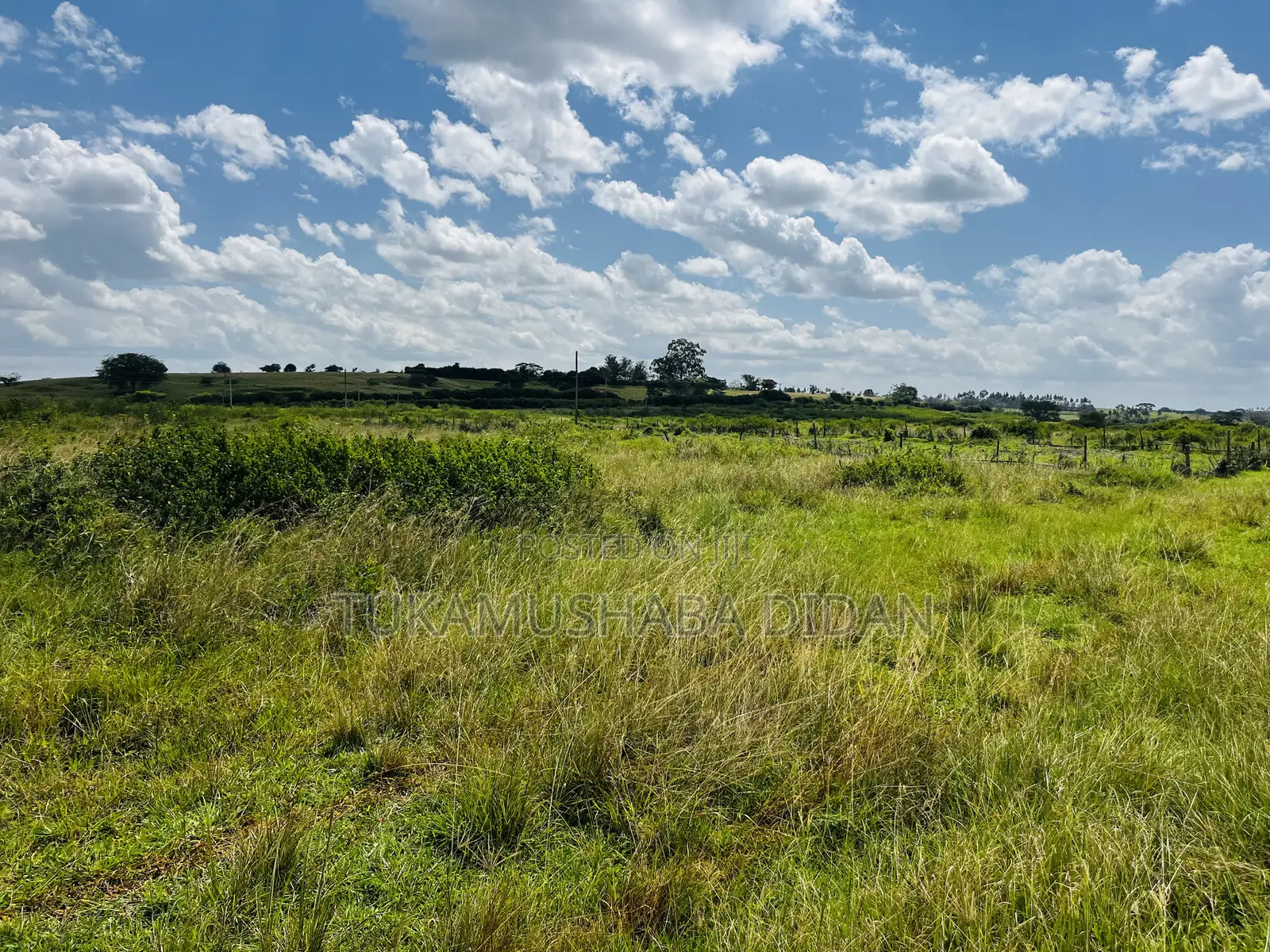 Half Acre for Sale in Nyakisharara Mbarara City