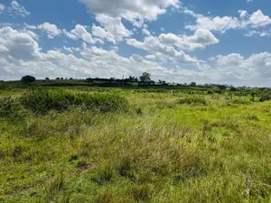 Half Acre for Sale in Nyakisharara Mbarara City