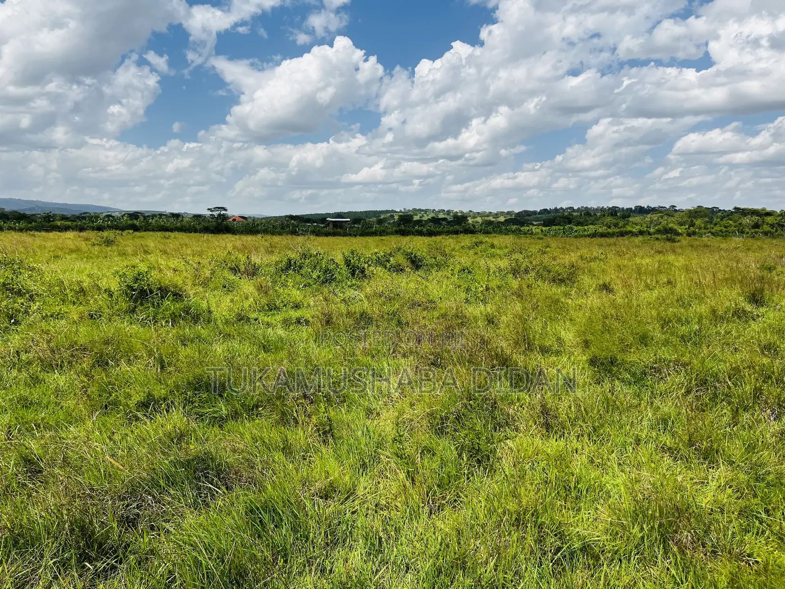 Half Acre for Sale in Nyakisharara Mbarara City