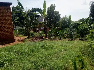 Prime Plot for Sale – Makindye Kizungu