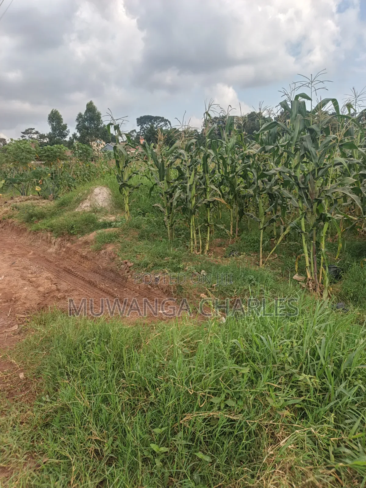 2acres of Land on Sale Komamboga Gayaza Road