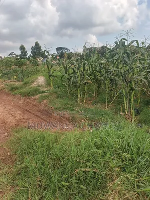 2acres of Land on Sale Komamboga Gayaza Road