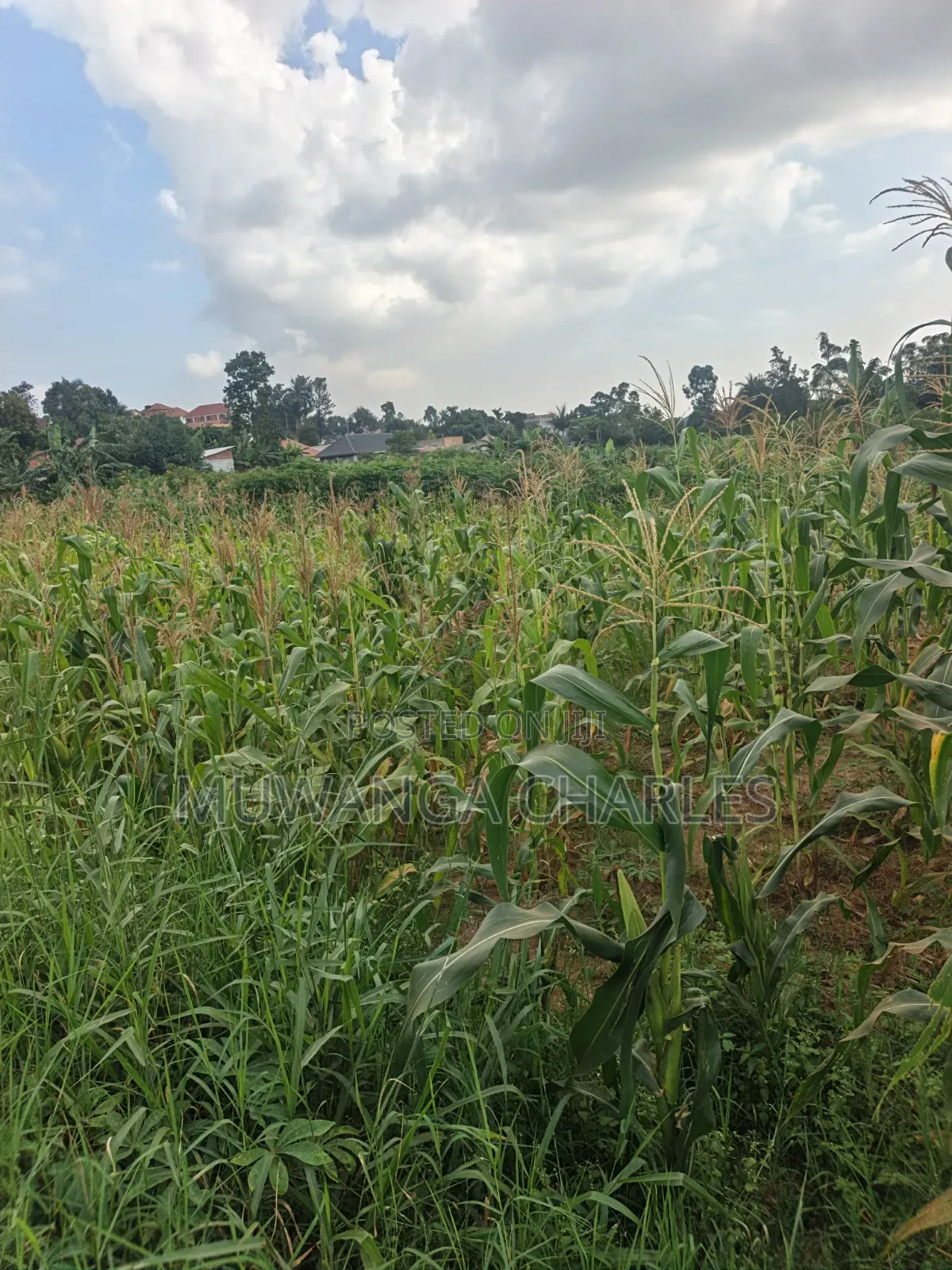 2acres of Land on Sale Komamboga Gayaza Road