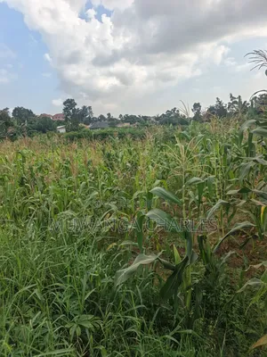 2acres of Land on Sale Komamboga Gayaza Road