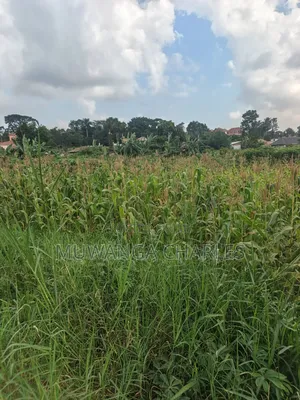 2acres of Land on Sale Komamboga Gayaza Road