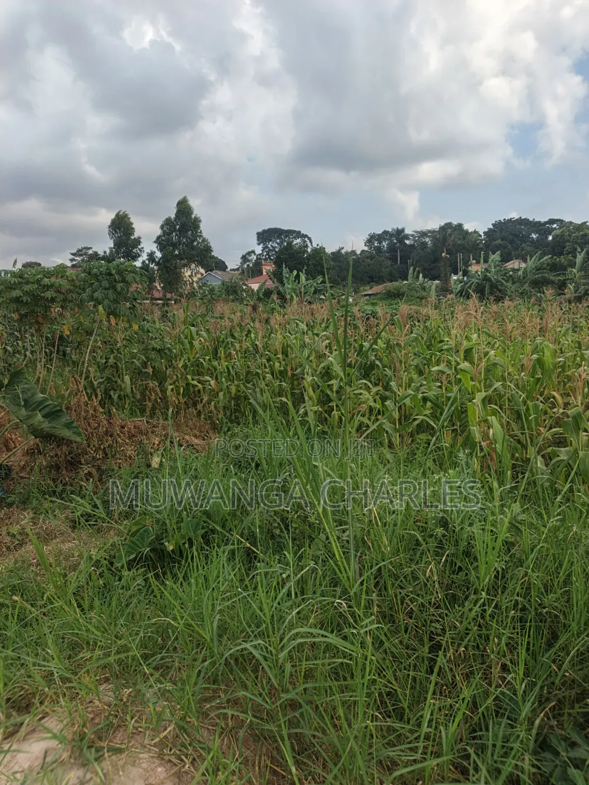 2acres of Land on Sale Komamboga Gayaza Road