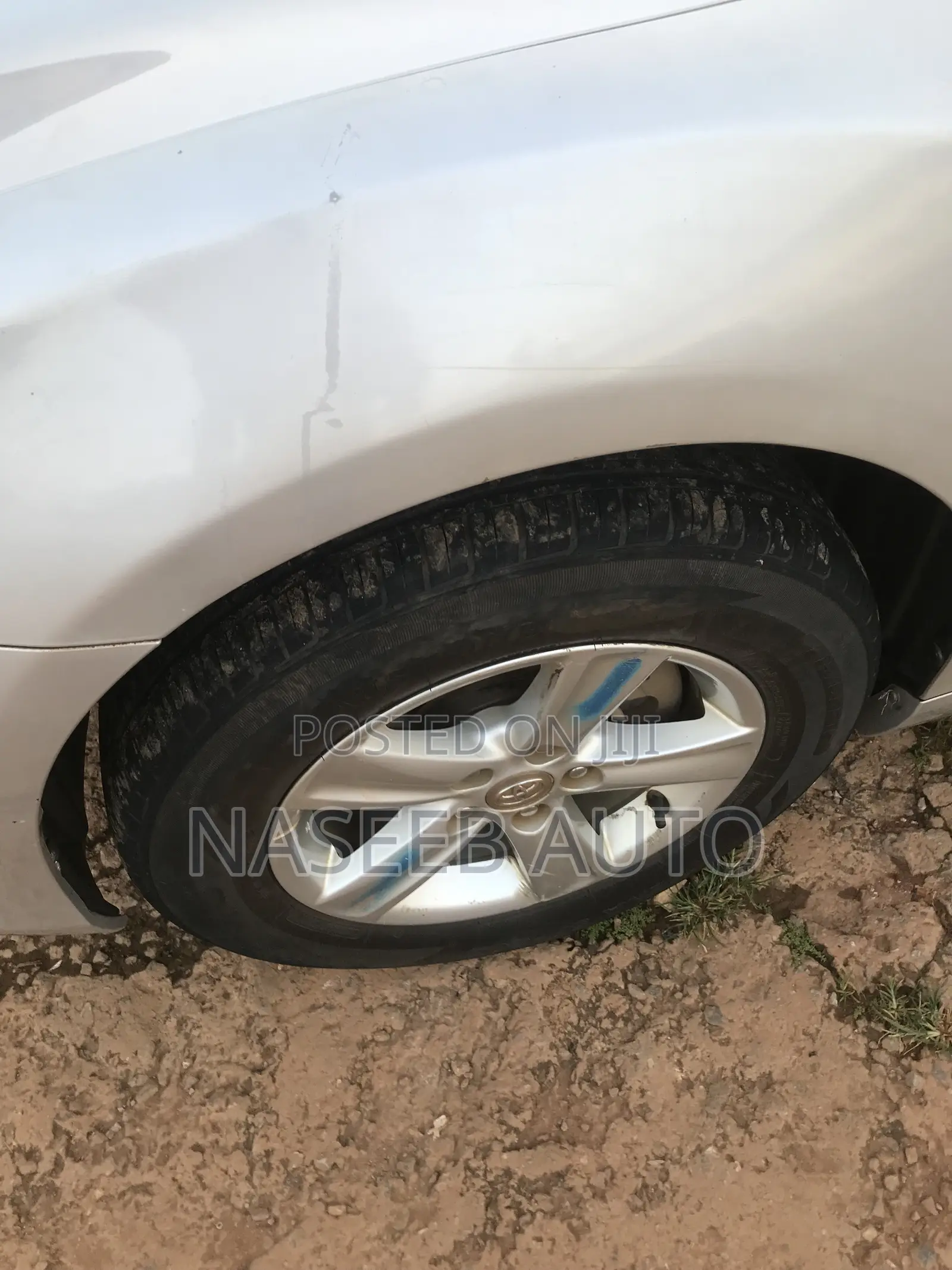 Toyota Mark X 2010 Silver