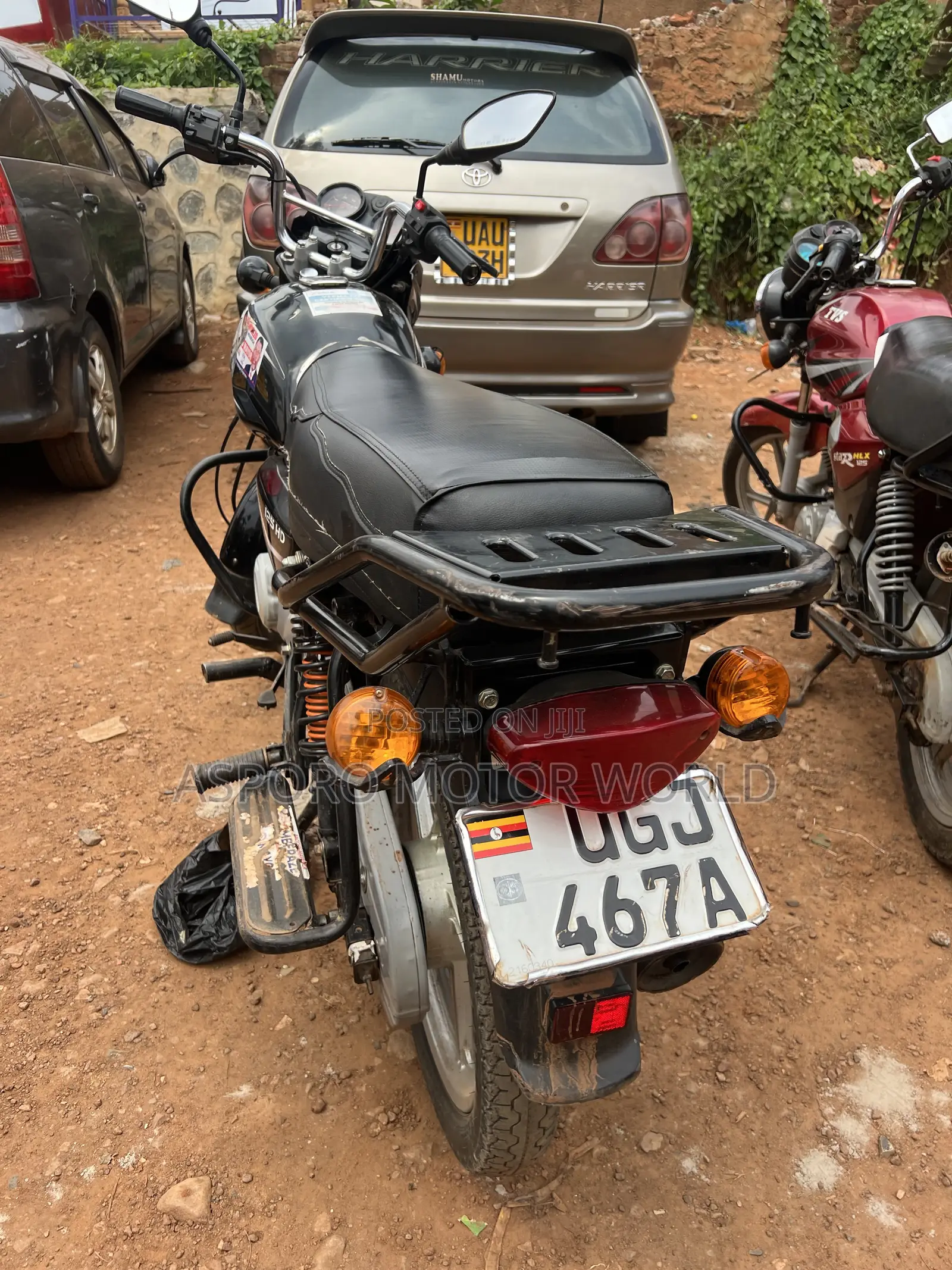 Bajaj CT 125X 2024 Red