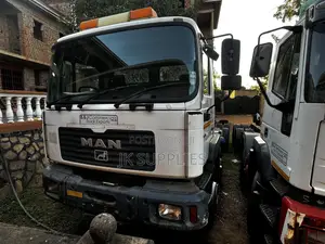 Man Truck Fe White