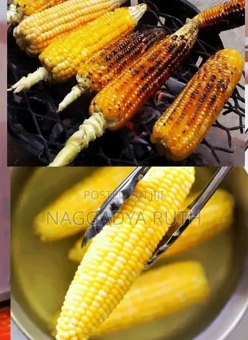 Food Plants