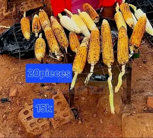 Food Plants