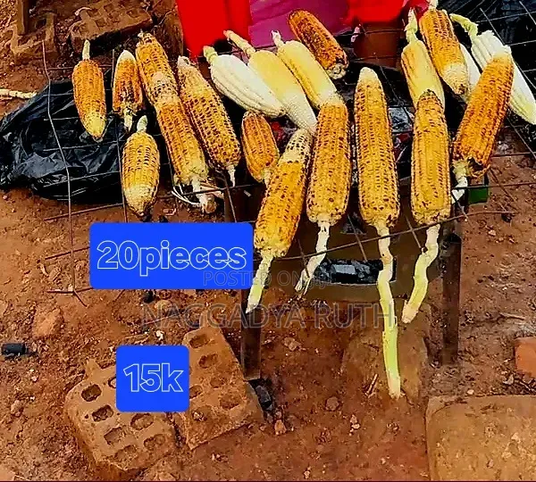 Food Plants
