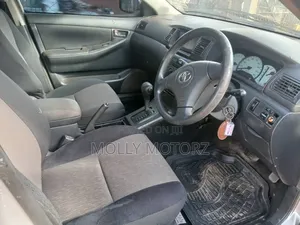 Toyota Corolla Fielder 2007 Silver