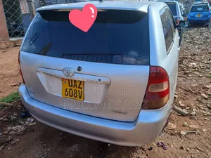 Toyota Corolla Fielder 2007 Silver