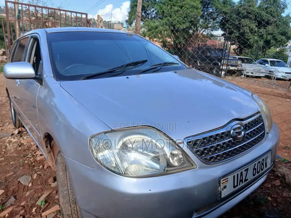 Toyota Corolla Fielder 2007 Silver