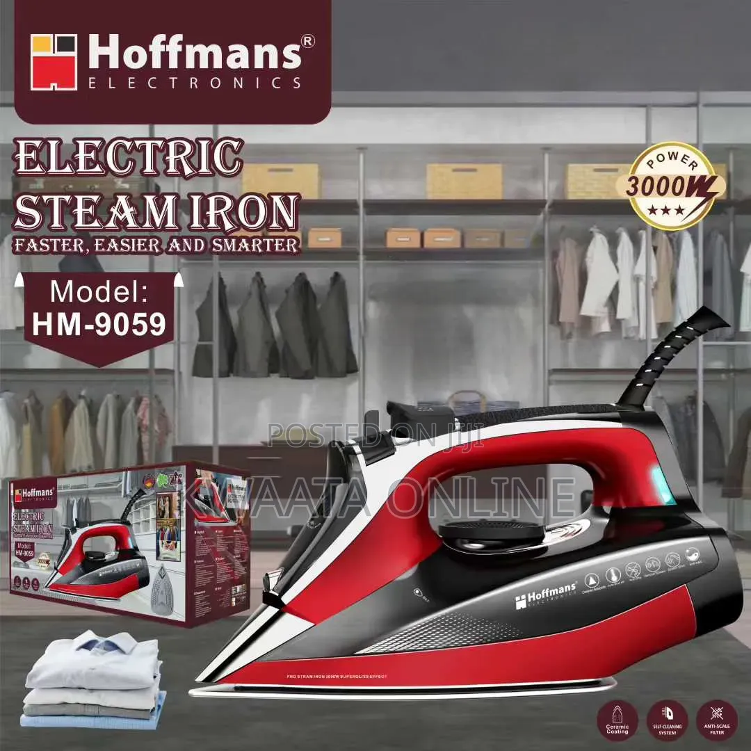 3000w Steam Iron Adjustable Thermostat Burst Vertical Steam Hm-9059